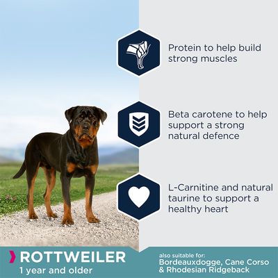 Eukanuba Rottweiler Vuxen