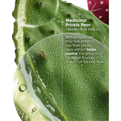 Klorane Prickly Pear 72h kosteuttava ja kiiltoa antava hoitoaine elottomille hiuksille 200ml