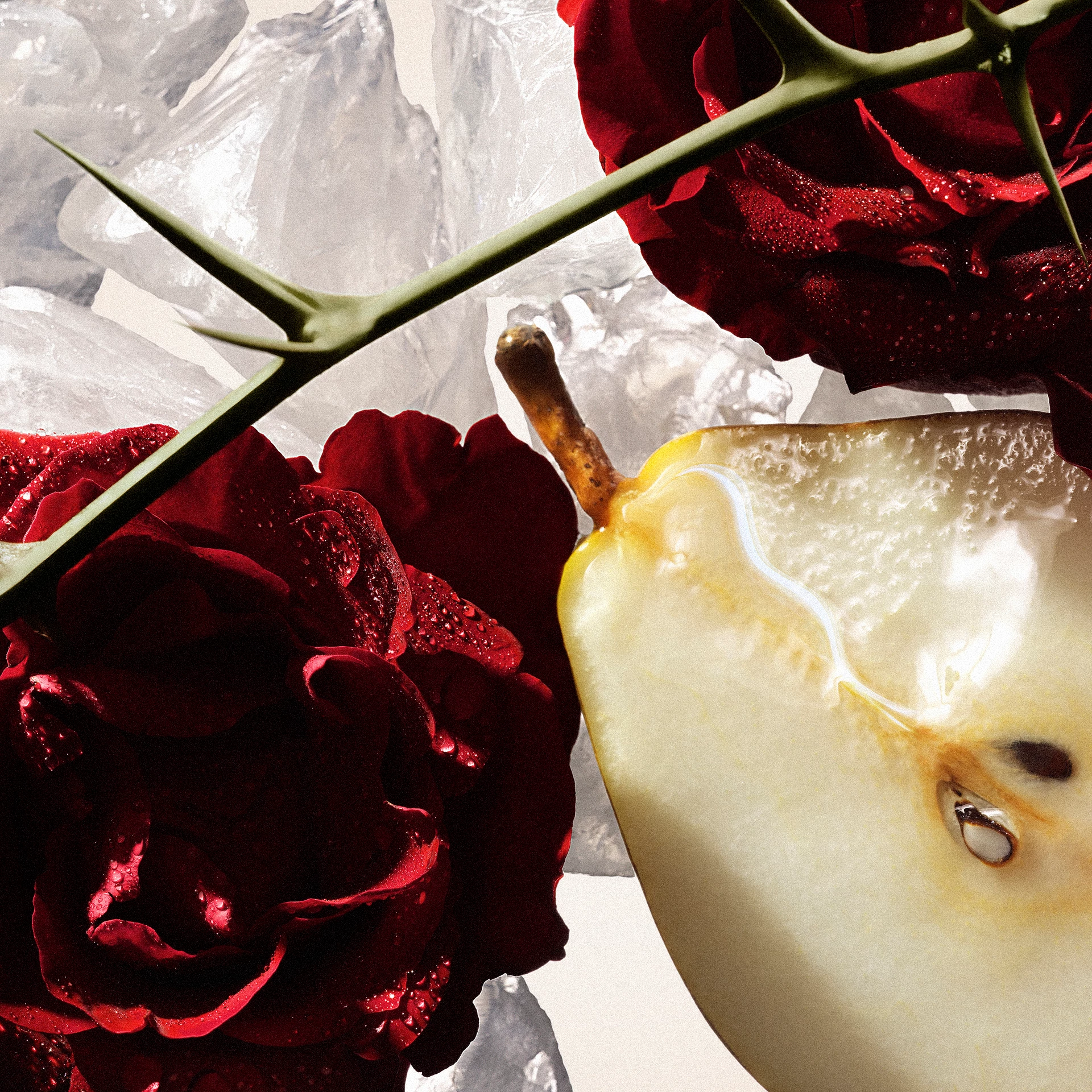 Amor Amor EdP 30 ml - Cacharel