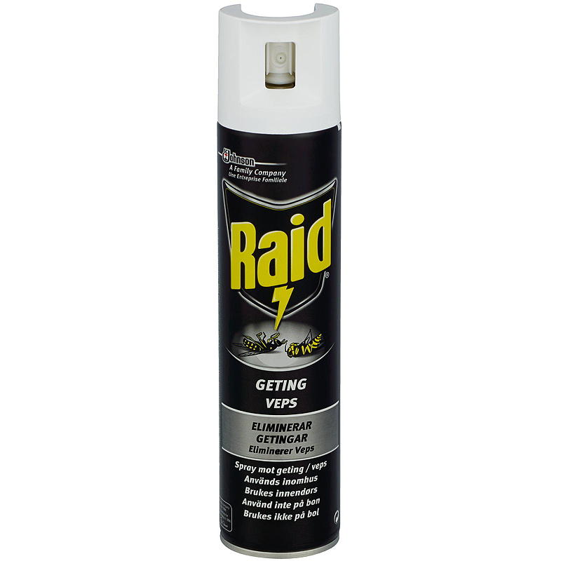Spray antiavispas Raid 300 ml Raid