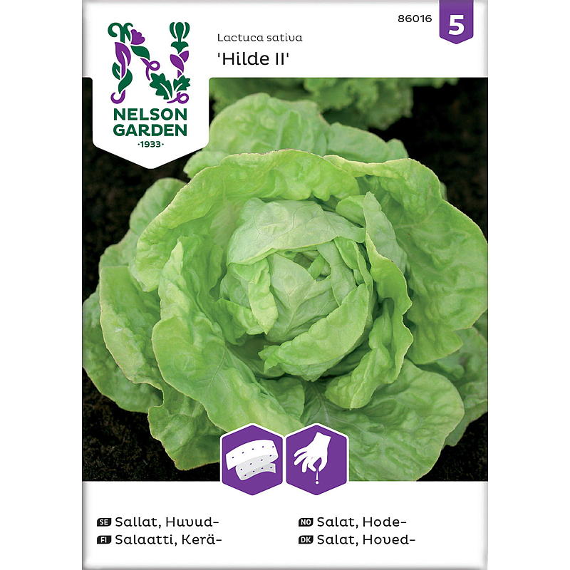 Nelson garden siemenet salaatinpää, Hilde II, siemennauha