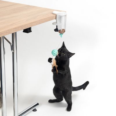 TIAKI Intelligence Toy Snack Hunter