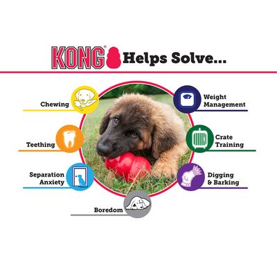 KONG Classic