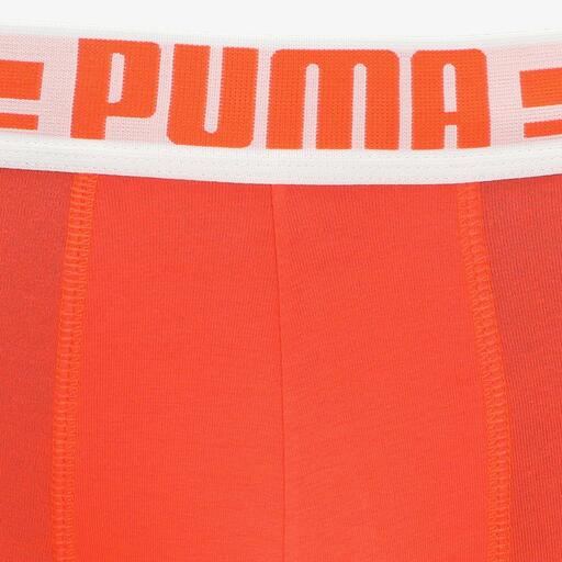  Puma Puma