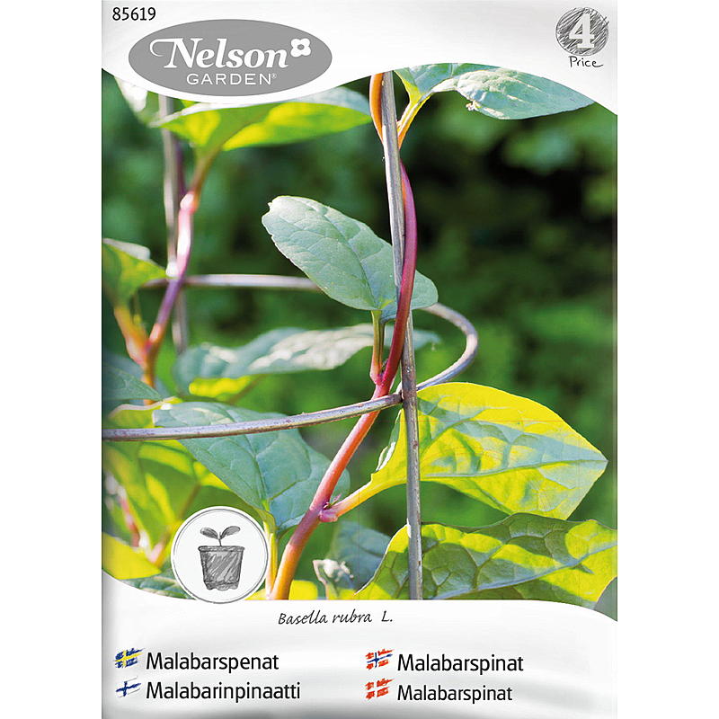 Nelson Garden Seeds Malabar Spenat Röd