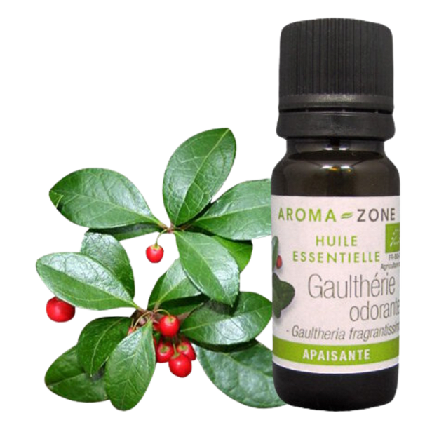 Huile essentielle Gaulthérie odorante BIO 10ml