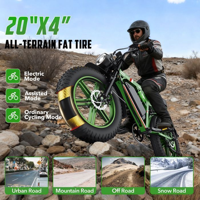 Vélo électrique 1000W 20