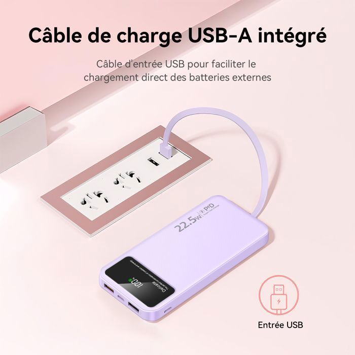 Batterie Externe Violette 20000mAh - Power Bank Mince - 4 Câbles Intégrés, 6 Sorties, 3 Entrées - Affichage LED - Compacte