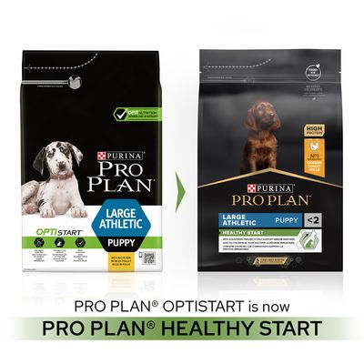 PURINA PRO PLAN Grand chiot athlétique - Bon départ