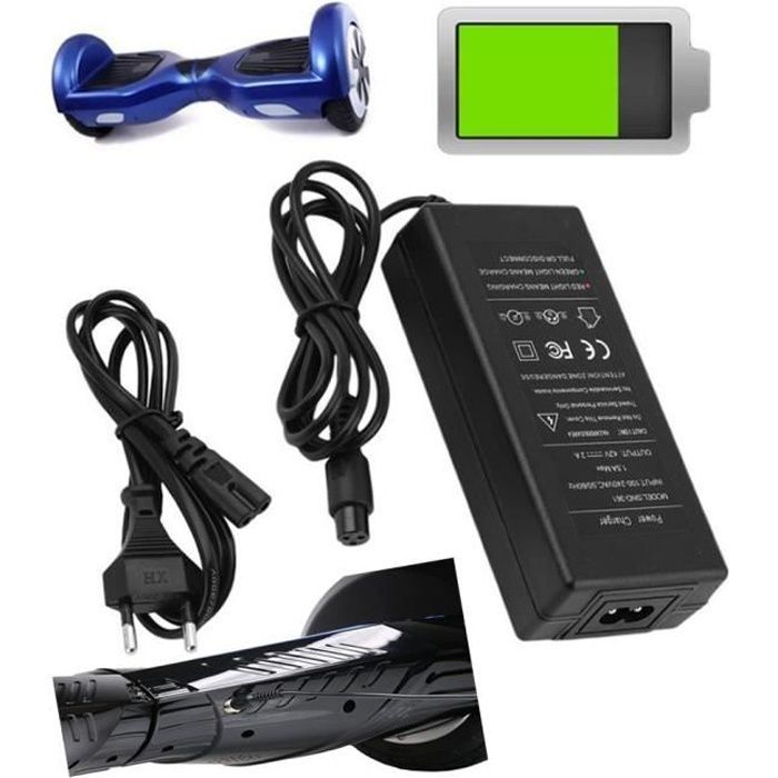 Hoverboard Charger Gyropod
