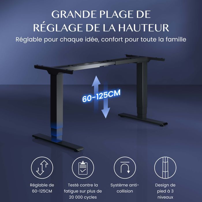FlexiSpot E5-Lite Electric Sit-Stand Desk, 2 Motors, 3 Columns, Adjustable Height, 100 kg Load Capacity, Memory, Anti-Collision, Black