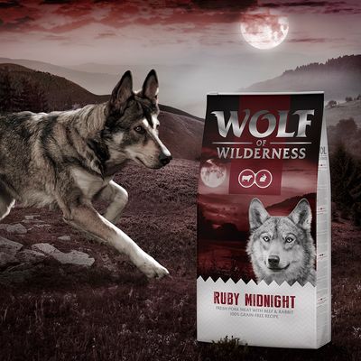 Wolf of Wilderness Adult 