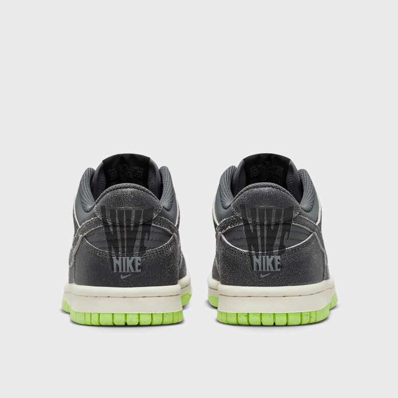 Dunk Low SE (GS)