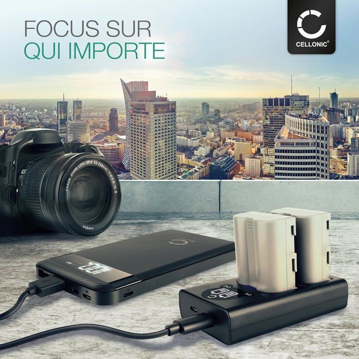Set di 2 batterie da 1600 mAh e caricabatterie doppio compatibile con Nikon D700 D70s D80 D90 D900 D100 D200 D300 D300S D50 D70 - Batterie ricaricabili
