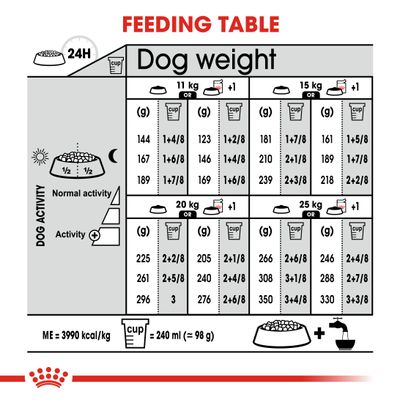 Royal Canin Medium Verdauungspflege