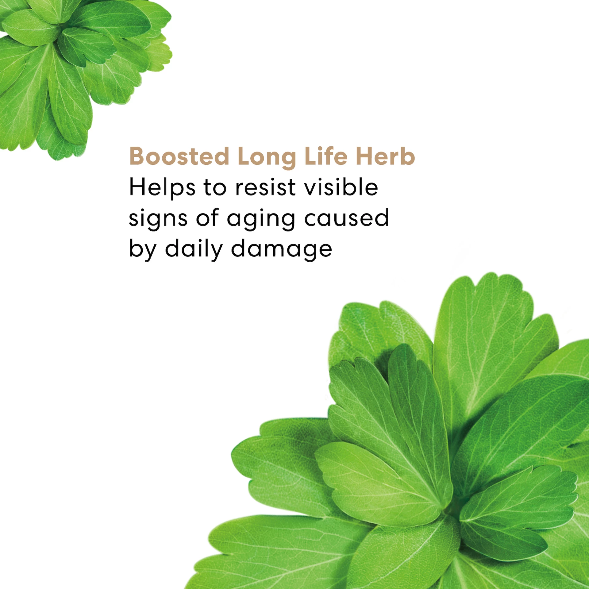 Ser facial cu plante Skinlongevity Long Life 50 ml - bareMinerals