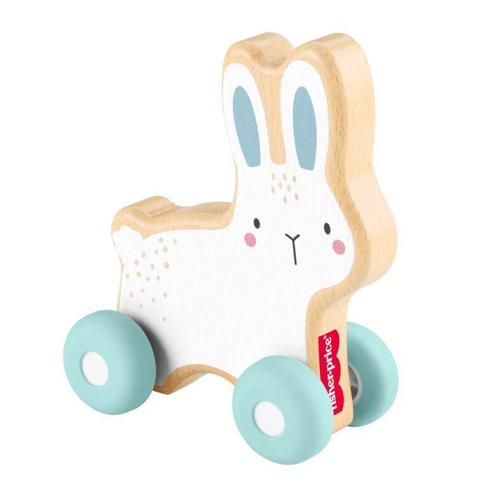 Fisher-Price puinen työntöjänis - ryömimislelu - 1 kpl - 6 kuukauden ikäisille+ - JDM52