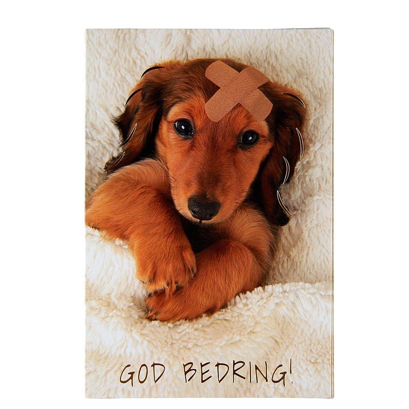 God bedring, hund