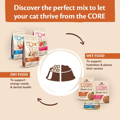 Wellness Core Signature Selects Mokra karma dla dorosłych kotów