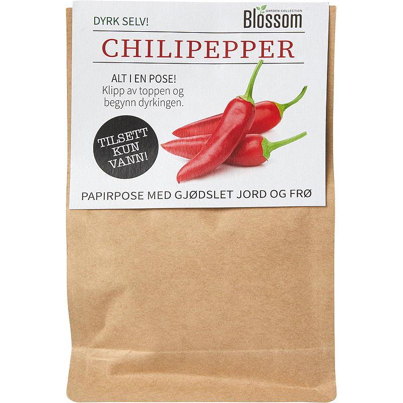 Blühender Beutel mit Chilisamen, Blume