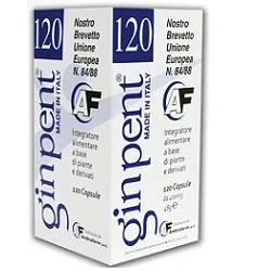 GINPENT Ginpent 120 capsules 400 mg