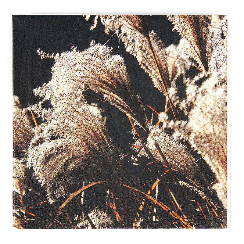 Serviettes Vie Eco, paquet de 20, 33 x 33 cm