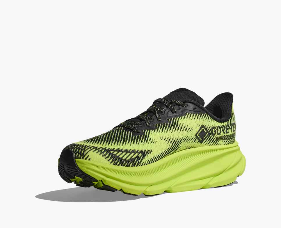 HOKA Stealth/Tech Clifton 9 GORE-TEX Zwart / Sla