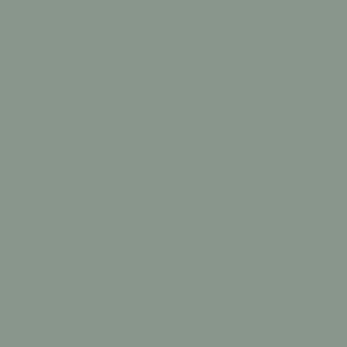 Interior wall decoration paint - Matte noble green - RIPOLIN - 2.5 L
