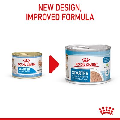 Mousse Royal Canin Starter per Mamma e Cucciolo