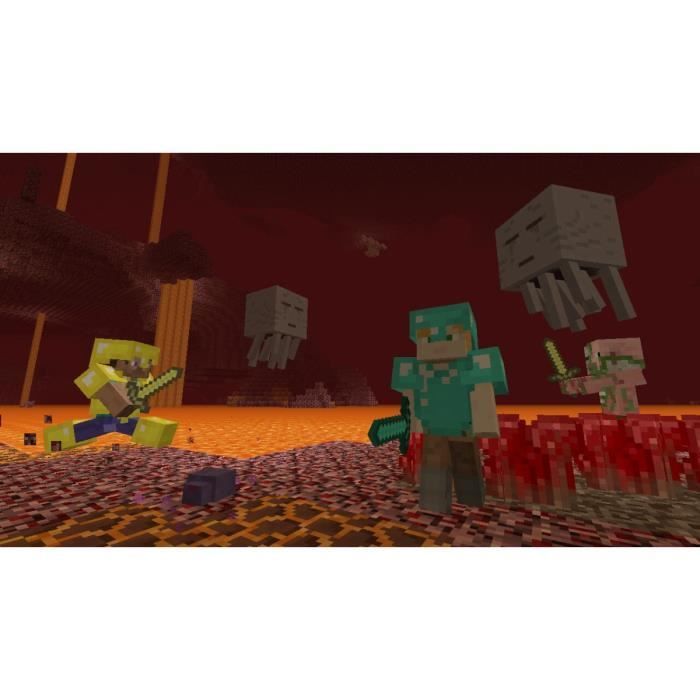 Minecraft • Jeu Nintendo Switch