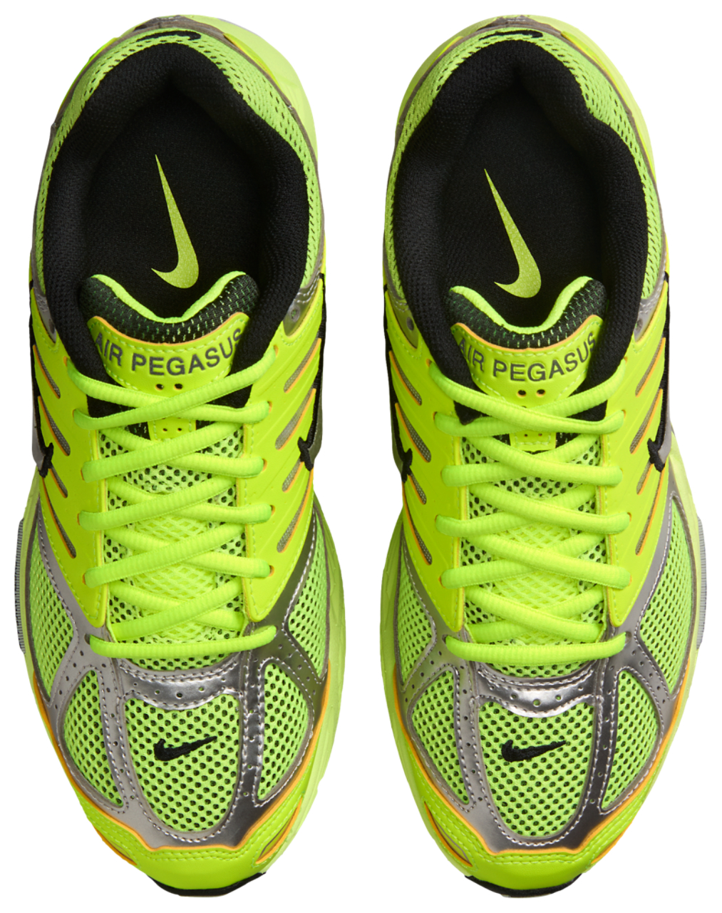 Nike Air Pegasus 2005