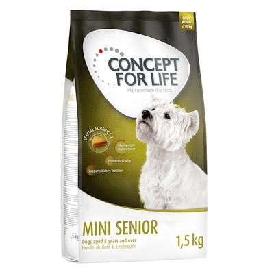 Conceito para Mini Sênior da Vida