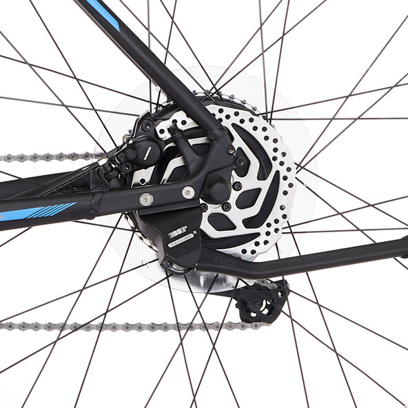 29