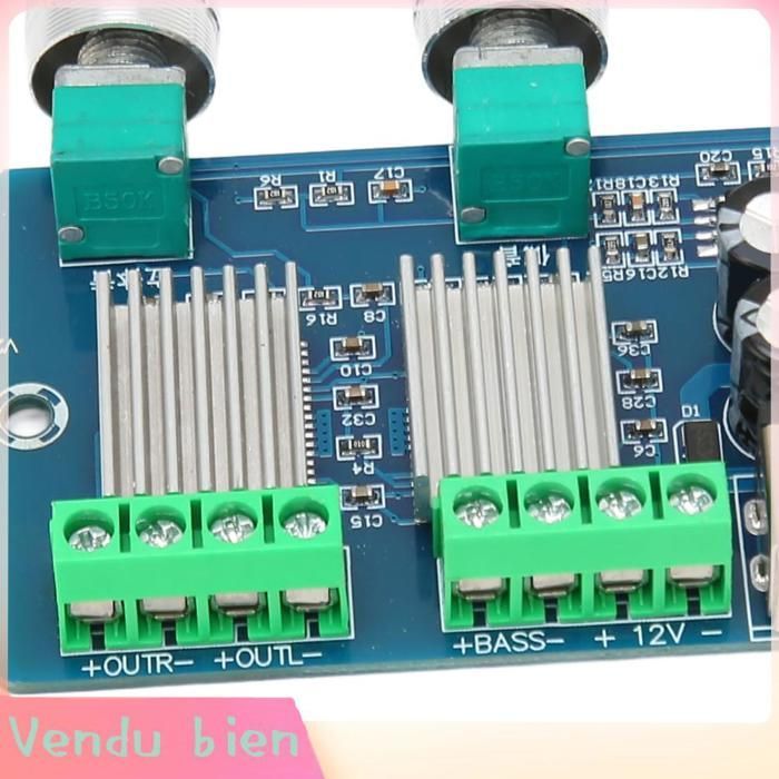 Placa amplificadora de potencia digital Garosa, placa amplificadora de potencia digital de 12 V CC, para proyectores de vídeo.