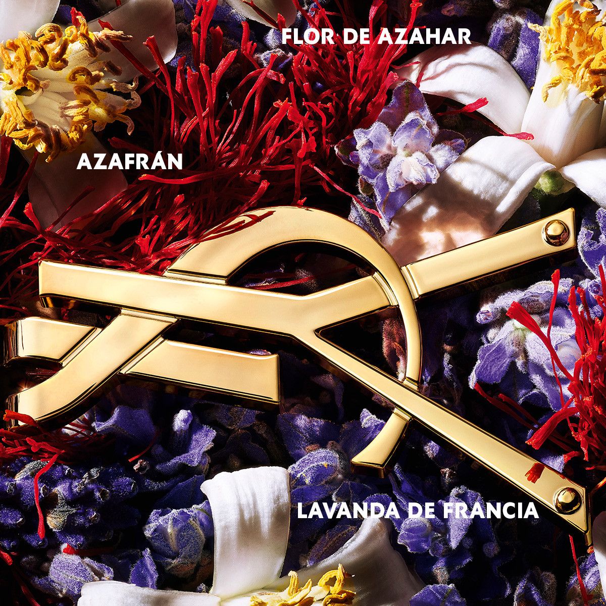 Yves Saint Laurent Libre Le Parfum kvepalai de mujer Perfumes de Mujer