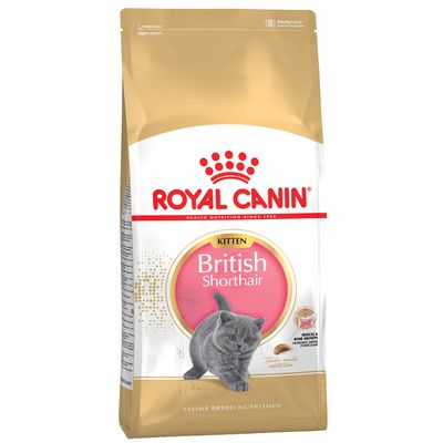 Royal Canin Britisch Kurzhaar Kitten
