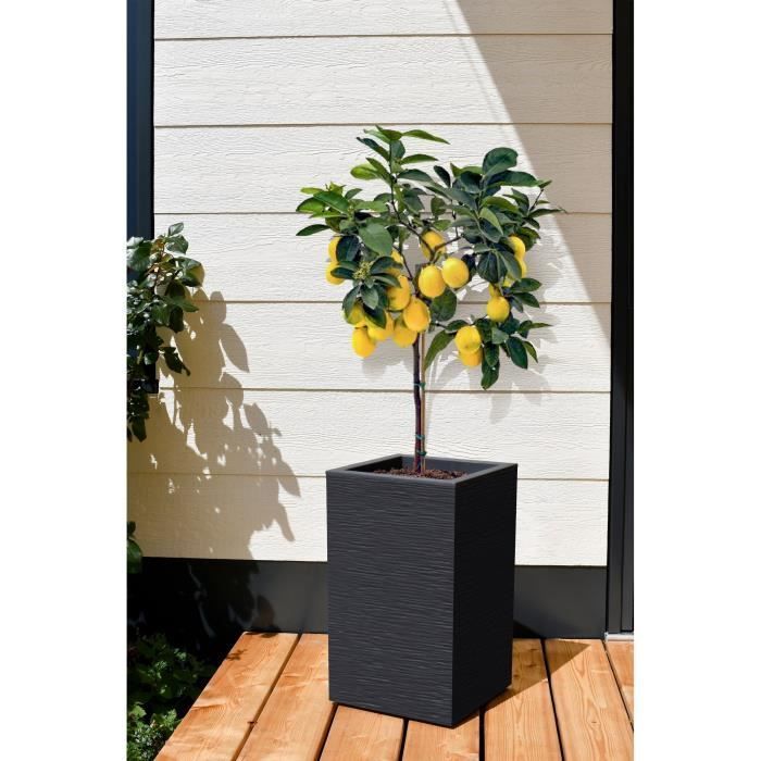 Floreira quadrada, 30 cm de altura - EDA - Graphit Up - 36 L - 29,5 x 29,5 cm x A 49,5 cm - Cinza antracite