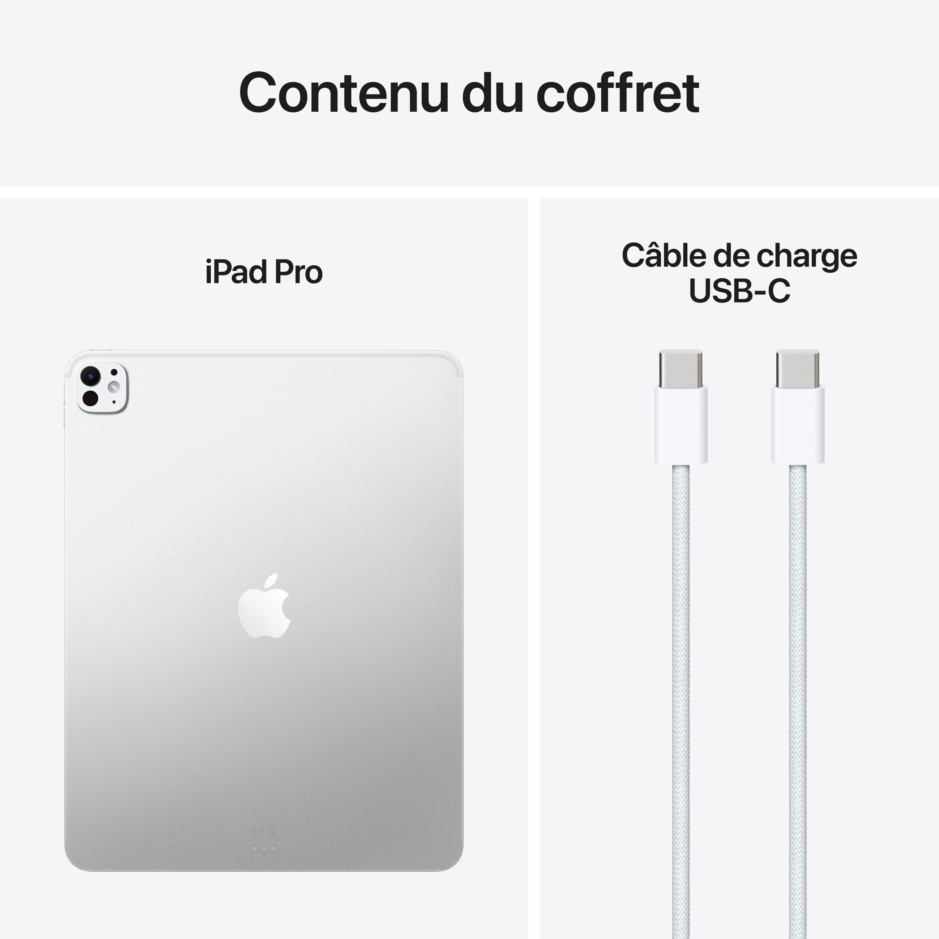 APPLE - iPad Pro M5 - 13