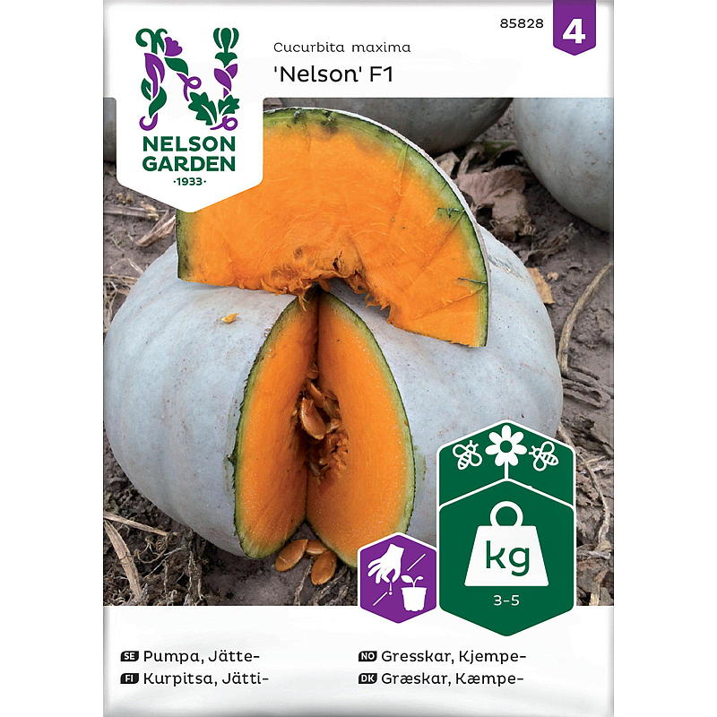 Semillas de jardín Nelson Calabaza Gigante, Nelson F1