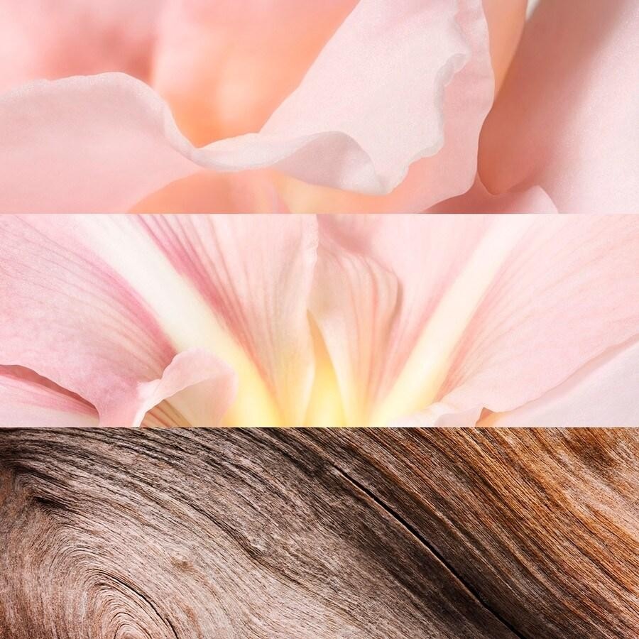 Jil Sander Sunlight Eau de Lumière