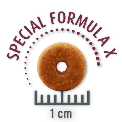 Conceito para Pacotes Econômicos Life