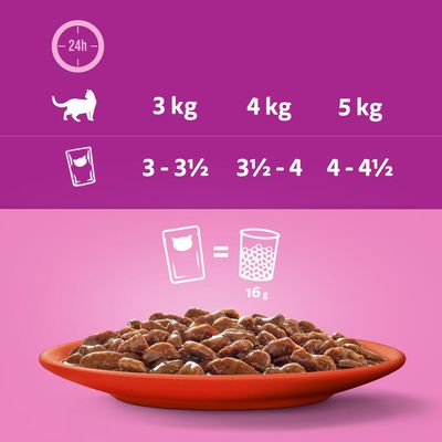 Whiskas 1+ Plats de viande en sauce