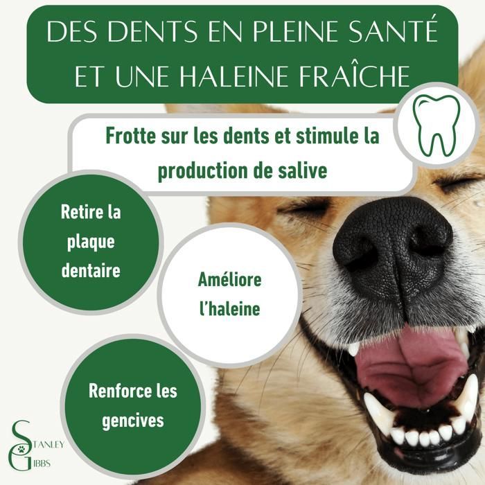 Chifre de veado inteiro tamanho XXL para cães mastigarem, petisco ideal para filhotes e cães de todas as idades, brinquedo para mastigar (1 peça).