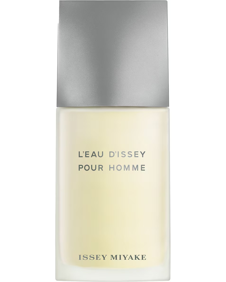 ISSEY MIYAKE L'EAU D'ISSEY POUR HOMME EAU DE TOILETTE SPRAY