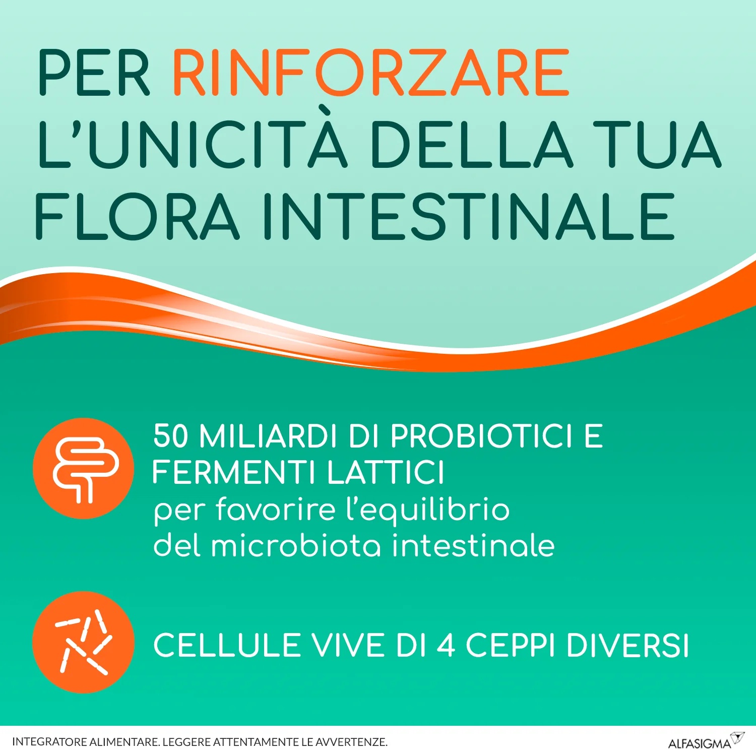 YOVIS Yovis stick 10 sobres para equilibrar la flora intestinal alterada