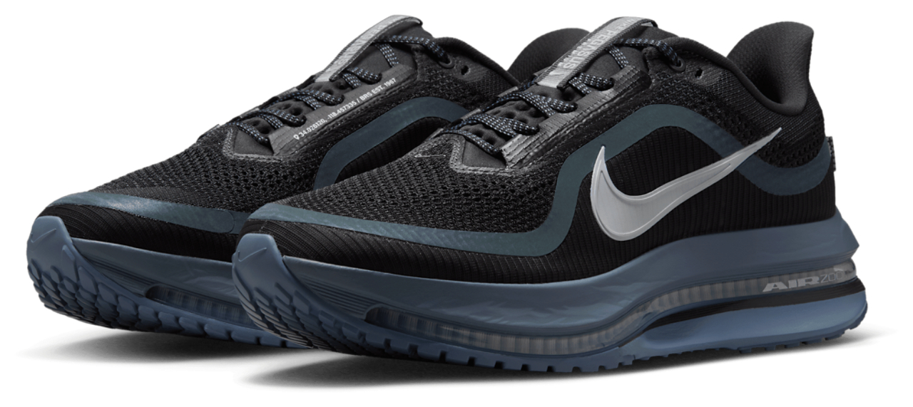 Nike Pegasus Premium Road