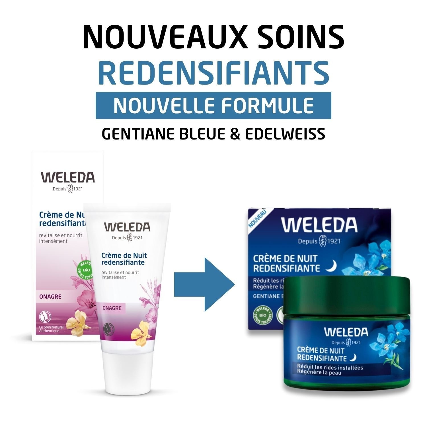 Weleda Crème de Nuit redensifiante Gentiane Bleue et Edelweiss - 40 ml