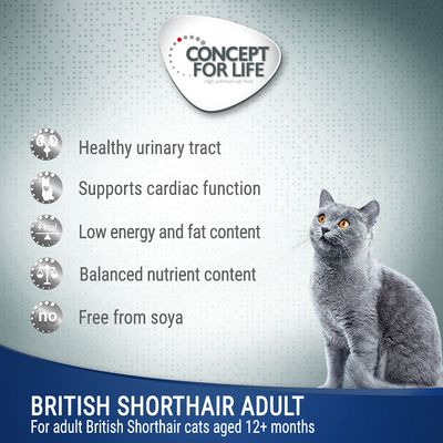 Concept for Life Britisk Korthår Adult - i Ragout