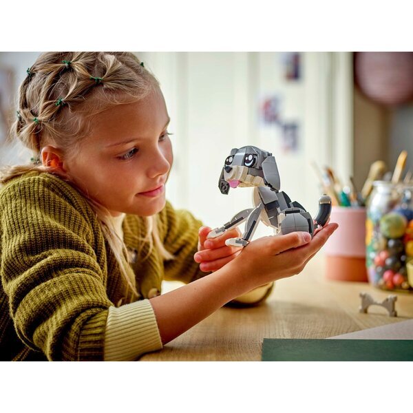 LEGO Creator 31163 Hravá mačka 3 v 1