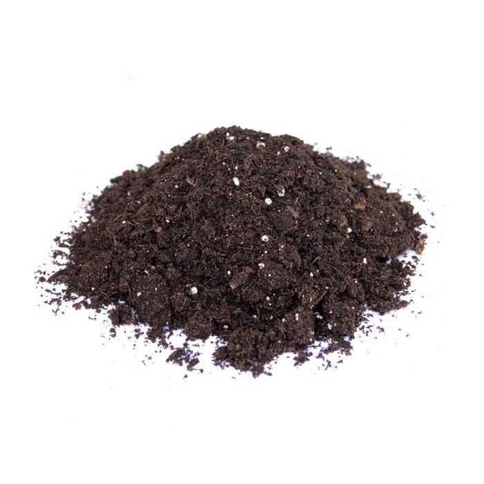 Platinum - Mistura Leve de Perlita para Vasos - 40L - Especial para germinação, estaquia e crescimento.